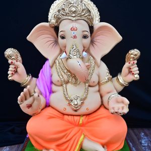 Brahman 18”