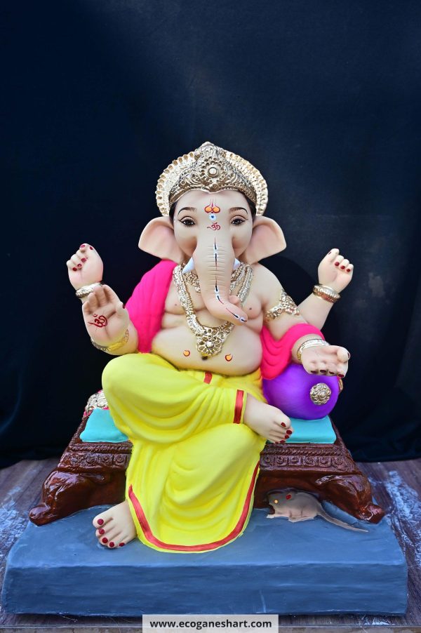 Khurshi 20”