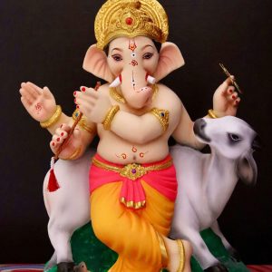 Krishna Gay 24”