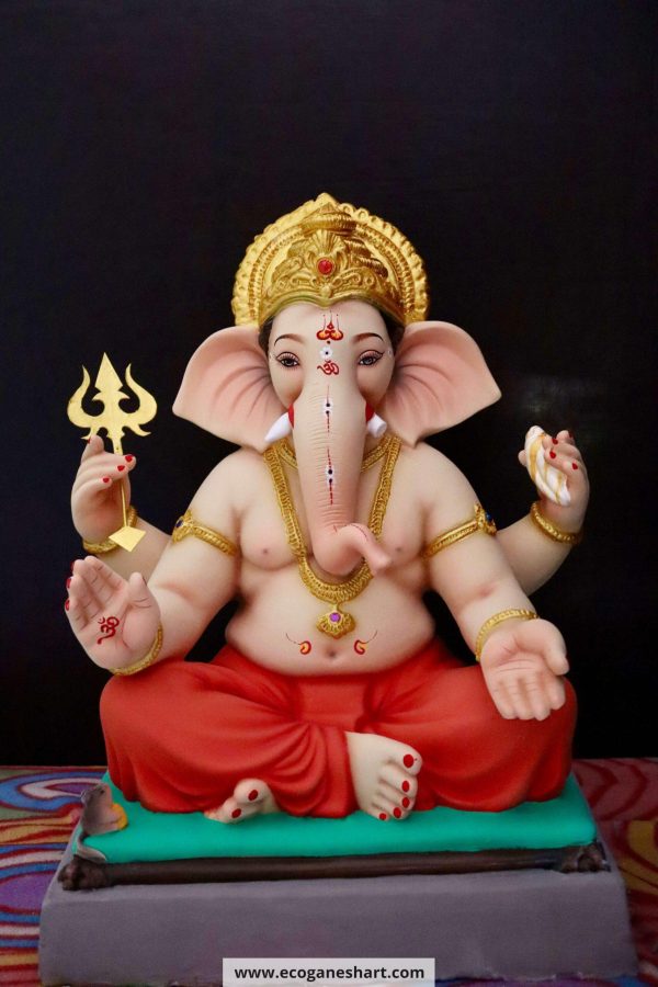Pandit 24”