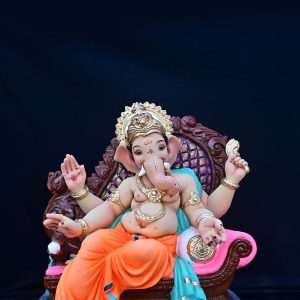 Raja Sihasan 24“