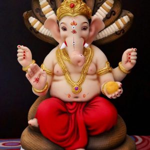 Sheshnag 24”