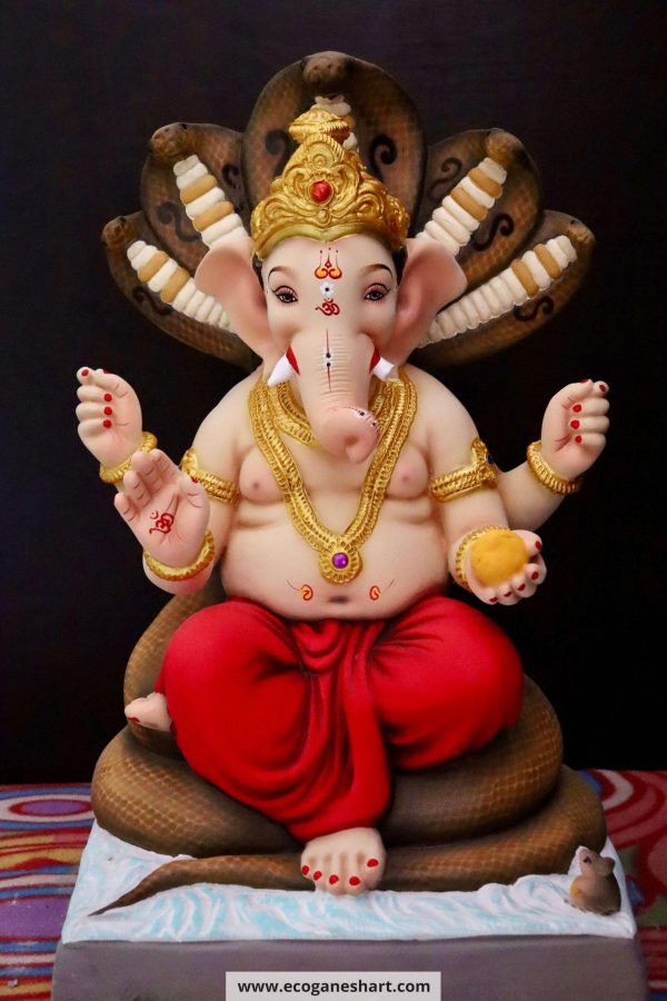Sheshnag 24”