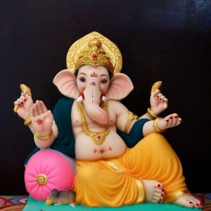 Vishnu 24”